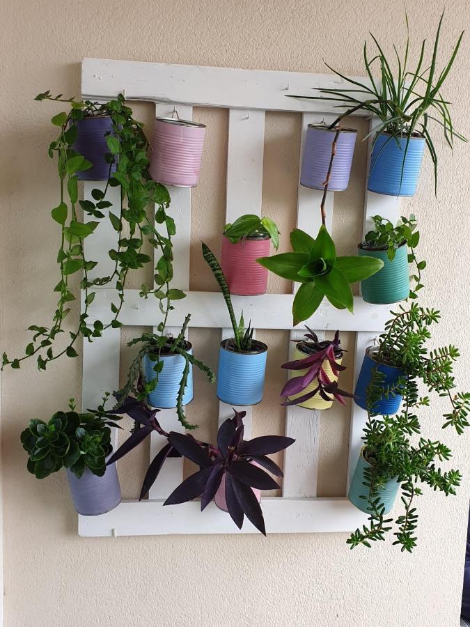 Apartamento La Figuereta, إيسلا كريستينا المظهر الخارجي الصورة